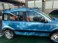 Usata Fiat Panda 4x4 74 CV (54 kW) 2006 Blu Utilitaria