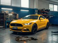 Usata Ford Mustang Fastback 317 CV (233 kW) 2015 Giallo