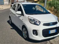 Usata Kia Picanto 67 CV (49 kW) 2015 Bianco Utilitaria