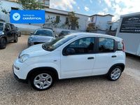 Usata Fiat Panda S 70 CV (51 kW) 2024 Bianco Utilitaria