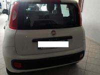 Usata Fiat Panda Easy 95 CV (69 kW) 2018 Bianco Utilitaria