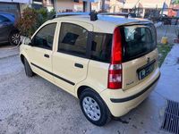 usata Fiat Panda Panda1.2 Dynamic eco