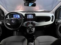 Nuova Fiat Panda S 70 CV (51 kW) 2025 Bianco pastello