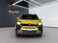 Usata Fiat Panda Cross Cross 80 CV (58 kW) 2015 Other Utilitaria