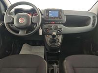 Usata Fiat Panda S 69 CV (50 kW) 2023 Grigio Utilitaria