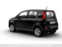 Usata Fiat Panda City Life 84 CV (61 kW) 2022 Nero Utilitaria