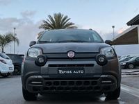 Usata Fiat Panda Cross Cross 69 CV (50 kW) 2022 Grigio Utilitaria