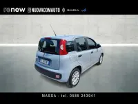 Usata Fiat Panda Easy 69 CV (50 kW) 2019 Grigio chiaro Utilitaria