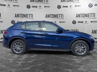 Usata Alfa Romeo Stelvio Business 190 CV (139 kW) 2019 Blu/azzurro SUV