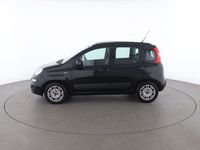 usata Fiat Panda 1.2 Lounge 1.2 Lounge