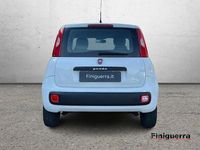 Usata Fiat Panda Lounge 69 CV (50 kW) 2015 Bianco Utilitaria