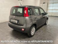 Usata Fiat Panda Easy 69 CV (50 kW) 2018 Grigio Berlina