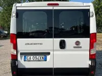 Usata Fiat Ducato 140 CV (102 kW) 2020 Bianco Furgone