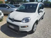 Usata Fiat Panda City Life 69 CV (50 kW) 2023 Bianco Utilitaria