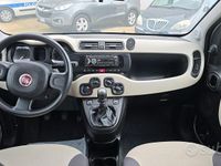 Usata Fiat Panda Pop 69 CV (50 kW) 2015 Bianco Utilitaria