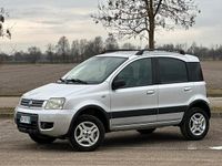 Usata Fiat Panda 4x4 69 CV (50 kW) 2007 Grigio Utilitaria