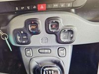 Usata Fiat Panda City Life 69 CV (50 kW) 2022 Utilitaria