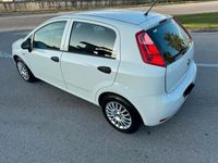 usata Fiat Punto 1.2 8V 5 porte Street