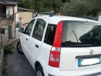 Usata Fiat Panda Dynamic 69 CV (50 kW) 2006 Bianco Utilitaria