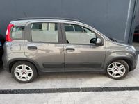 Usata Fiat Panda 70 CV (51 kW) 2022 Grigio Utilitaria
