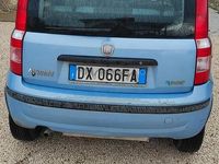 Usata Fiat Panda Dynamic 60 CV (44 kW) 2009 Blu Utilitaria