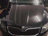 Usata Skoda Octavia Executive 2016 Nero Utilitaria