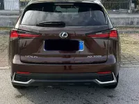 Usata Lexus NX300h E-FOUR Luxury Line 197 CV (144 kW) 2020 Marrone SUV