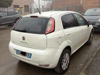 Usata Fiat Punto Evo 69 CV (50 kW) 2014 Bianco Utilitaria