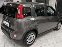 Usata Fiat Panda S 69 CV (50 kW) 2023 Grigio Utilitaria