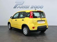Nuova Fiat Panda S 69 CV (50 kW) 2025 Giallo Utilitaria