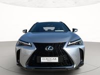Usata Lexus UX 300h Sport Line 2024 SUV