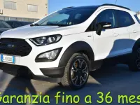 Usata Ford Ecosport Active 125 CV (91 kW) 2022 Bianco SUV
