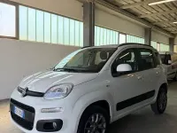 Usata Fiat Panda Lounge 80 CV (58 kW) 2021 Bianco Utilitaria