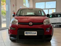 Usata Fiat Panda Icon 69 CV (50 kW) 2024 Rosso Utilitaria