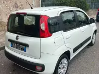 Usata Fiat Panda Lounge 69 CV (50 kW) 2013 Bianco Utilitaria