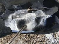 Usata Alfa Romeo GTV 129 CV (94 kW) 1980 Coupé