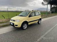 Usata Fiat Panda 4x4 69 CV (50 kW) 2006 Giallo Utilitaria