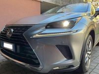 Usata Lexus NX300h Executive Line 197 CV (144 kW) 2018 Grigio SUV