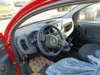 usata Fiat Panda Cross - 2023