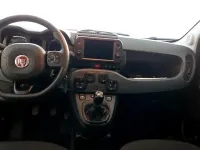 Usata Fiat Panda Cross Cross 70 CV (51 kW) 2024 Verde Utilitaria