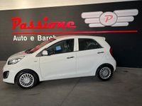 Usata Kia Picanto 66 CV (48 kW) 2015 Bianco Utilitaria