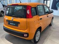 Usata Fiat Panda Easy 69 CV (50 kW) 2019 Arancione Utilitaria
