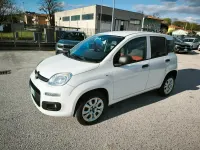 Usata Fiat Panda Pop 80 CV (58 kW) 2014 Bianco Utilitaria