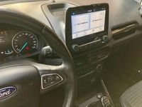 Usata Ford Ecosport Business Edition 99 CV (72 kW) 2019 SUV