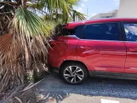 Usata EVO Evo 5 127 CV (93 kW) 2025 SUV