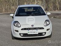 usata Fiat Punto 1.3 MJT II 75 CV 5 porte Easy