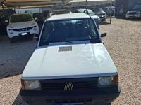 Usata Fiat Panda 4x4 Trekking 54 CV (39 kW) 2000 Bianco Utilitaria