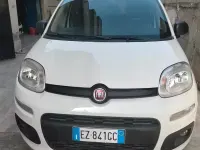 Usata Fiat Panda 85 CV (62 kW) 2015 Bianco Utilitaria