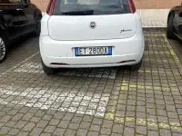 Usata Fiat Punto Easy 75 CV (55 kW) 2013 Bianco Utilitaria