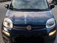 Begagnad Fiat Panda 69 HK (50 kW) 2017 Blå Sedan